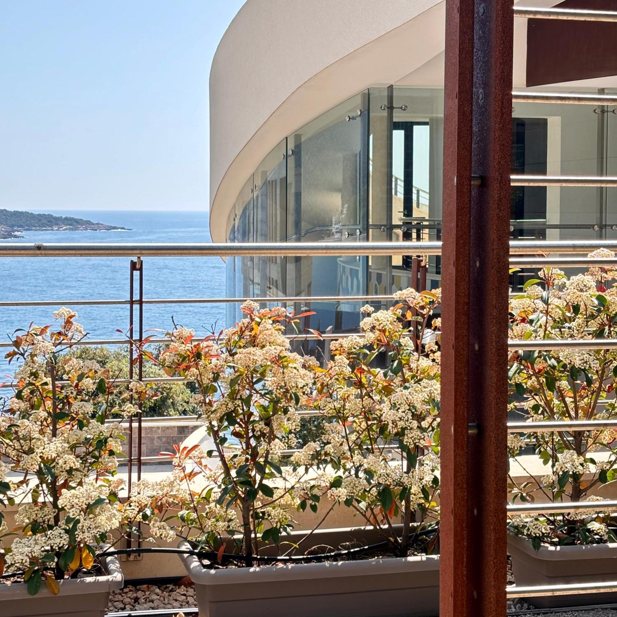 Continuum Lägenhet Ulcinj Exteriör bild